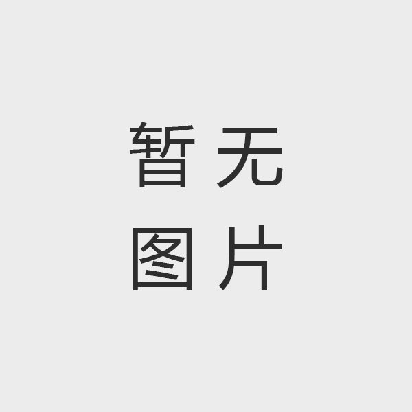 大阳城游戏·(中国)官方网站党支部